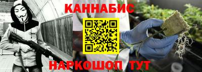 молекула духа Будённовск