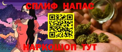 молекула духа Будённовск