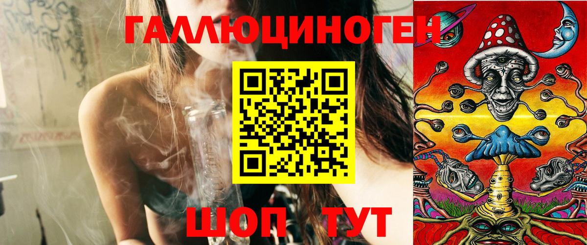 Реж  Галлюциногенные грибы Psilocybe  Вход с VPN 